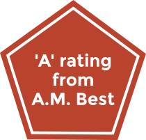 The AM Best rating for the Hudson Insurance Group.