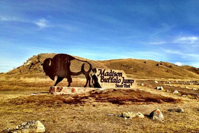 There are many state parks near Bozeman, Montana including Buffalo Jump State Park.