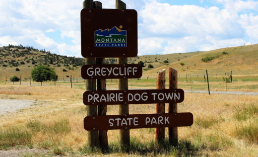 Greycliff Prairie Dog Town State Park is one of the many state parks near Bozeman, Montana.