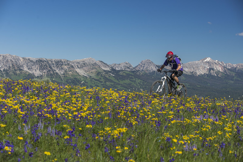 Riding through flowers up Stone Creek on the Bangtail Divide.