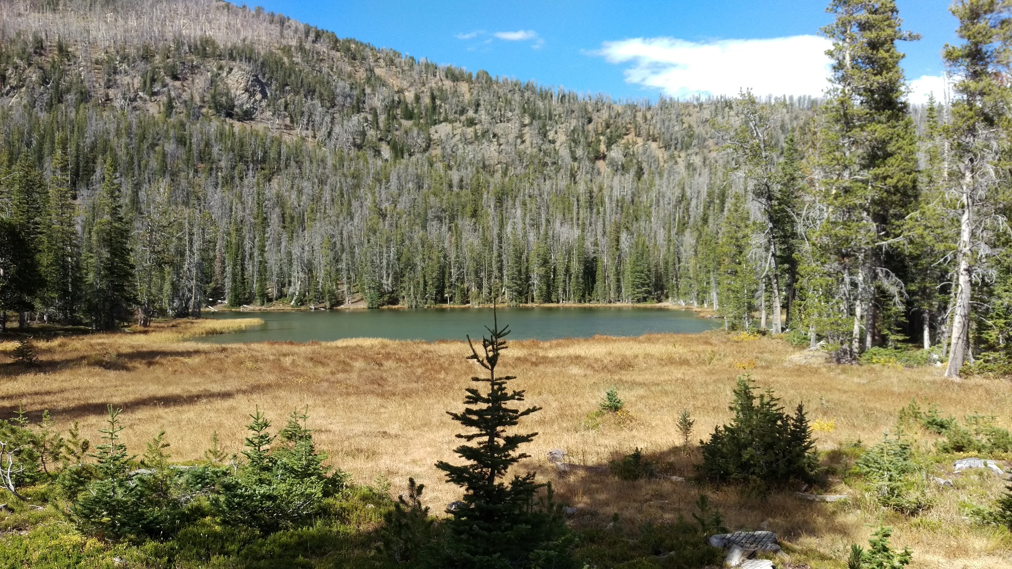 Curly Lake Trail is an outstanding mountain biking trail near Bozeman.