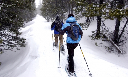 Snowshoeing is a great winter activity in Bozeman that allows you to keep exploring the trails.