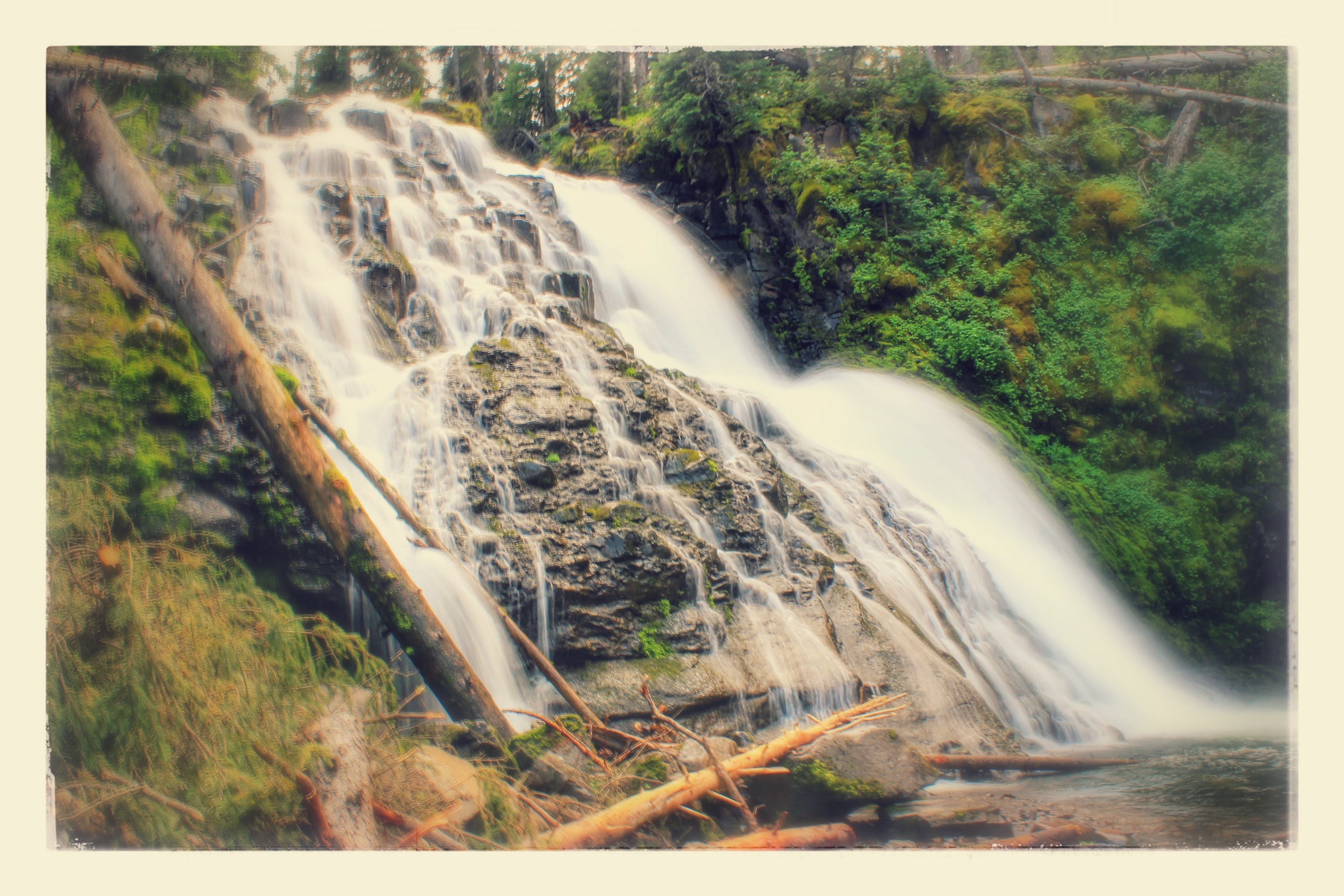 The winning photo of Grotto Falls from Trade Risk Guaranty's employee photography contest.