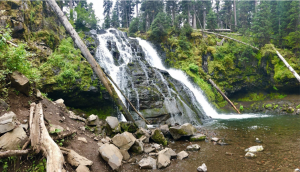 Grotto Falls Montana