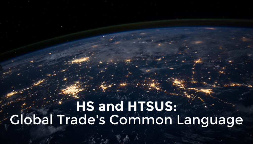 HS and HTS Codes: Global Trade’s Common Language