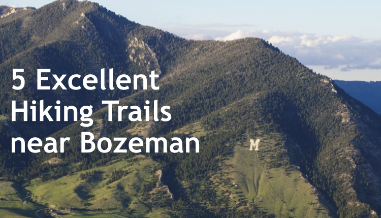 5 Excellent Hiking Trails In Bozeman