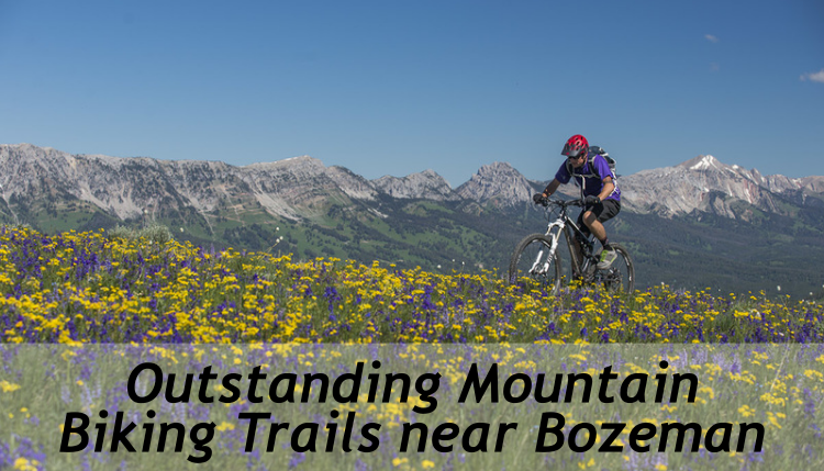 Check out these outstanding mountain biking trails near Bozeman, Montana.