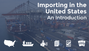 Importing in the United States | U.S Entry Process | TRG Peak