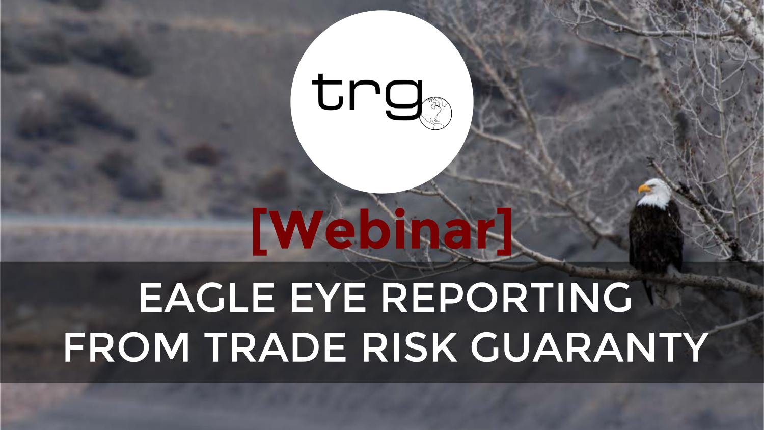[Webinar] Monitor Your Entries with Eagle Eye Reporting
