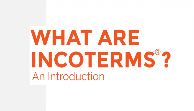 Discover the basics of Incoterms Rules and why you should know them in this educational video from Trade Risk Guaranty.