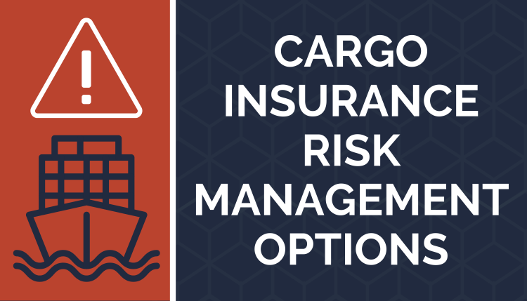 Cargo Insurance Risk Management Options