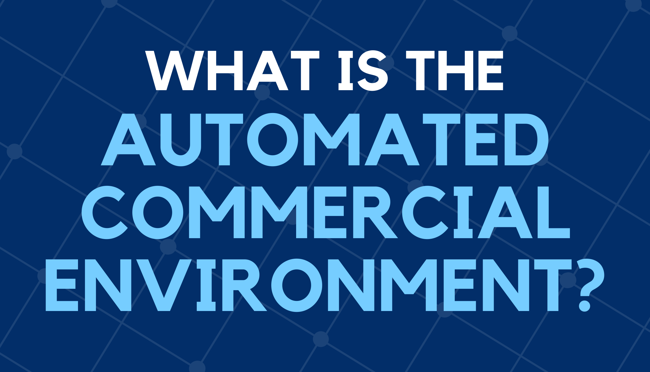 What is The Automated Commercial Environment (ACE)?