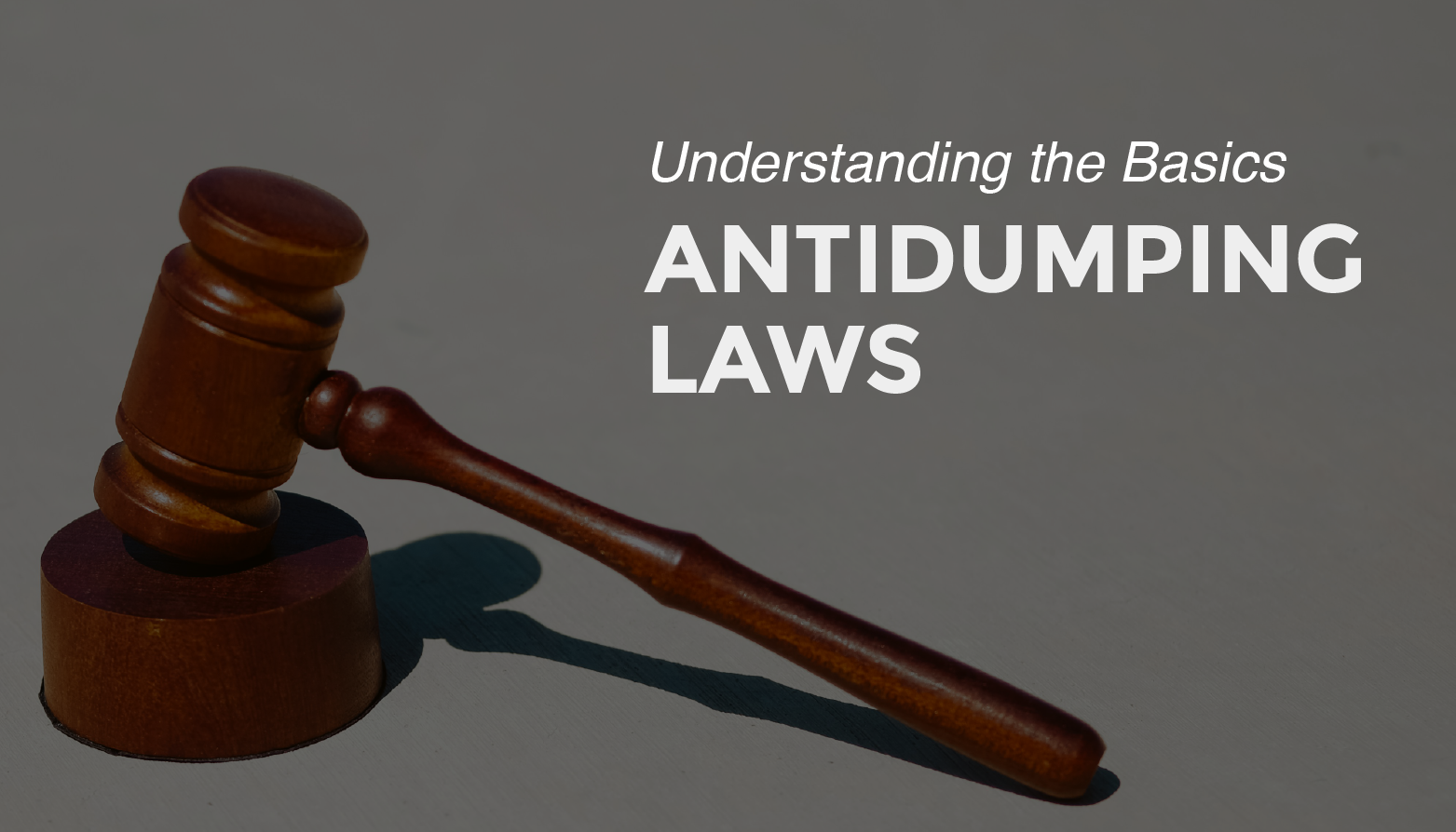 Understand the basics of antidumping laws to protect yourself from risk.