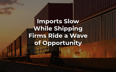 Imports Slow While Shipping Firms Ride a Wave of Opportunity